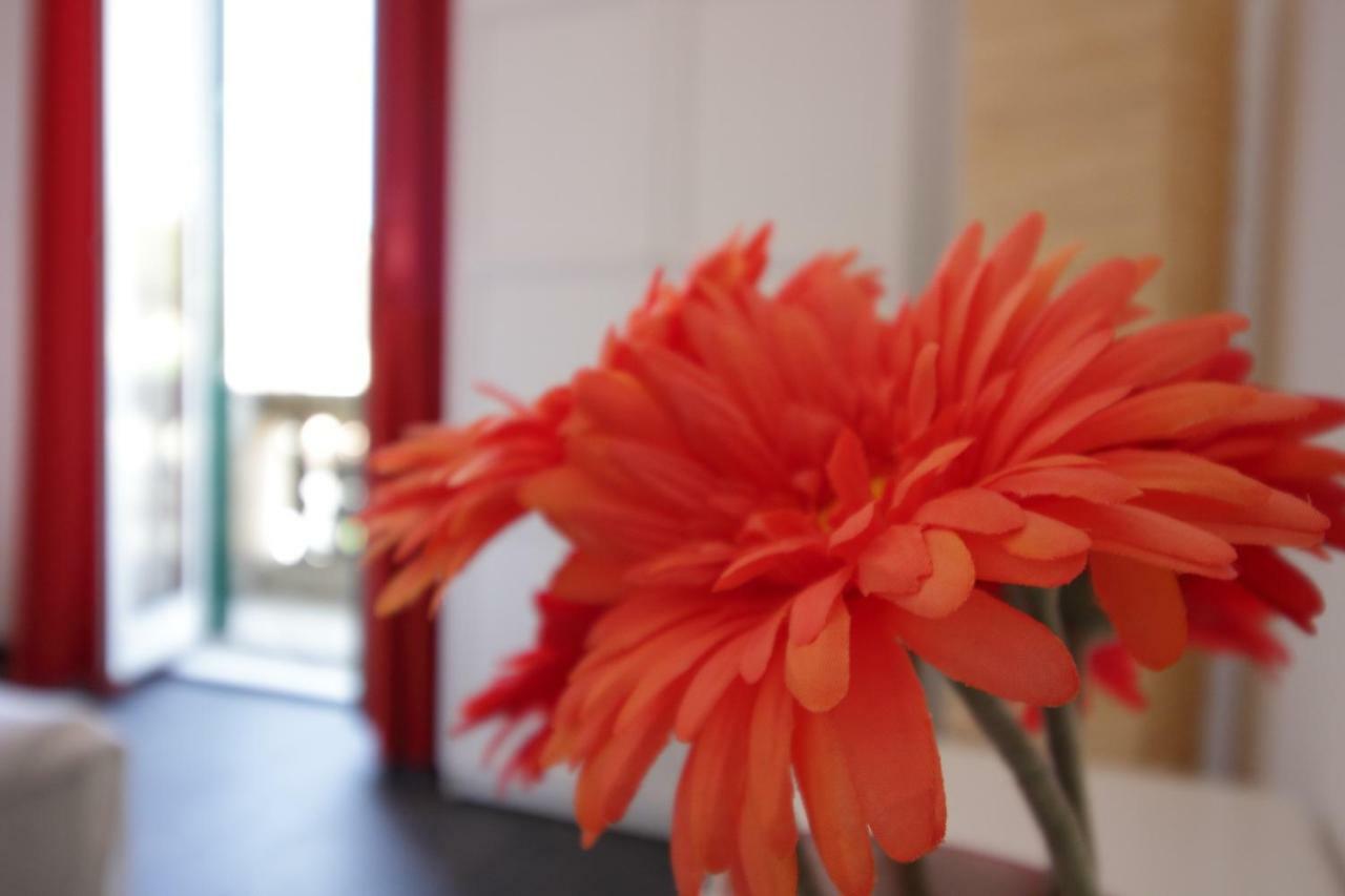 Apartamento San Lorenzo Roma